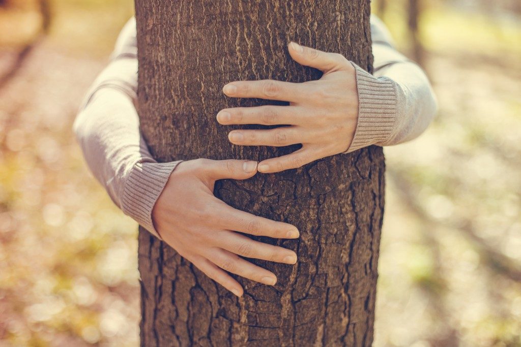 Person hugging a tree